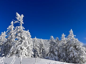 ピラタス蓼科スノーリゾートに投稿された画像（2025/1/19）