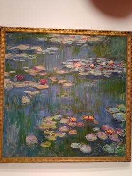 モネ 睡蓮のとき（国立西洋美術館）に投稿された画像（2025/1/19）