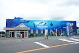 越前松島水族館に投稿された画像（2025/1/19）