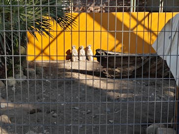 アロハガーデンたてやまに投稿された画像（2025/1/19）