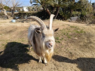 アロハガーデンたてやまに投稿された画像（2025/1/19）