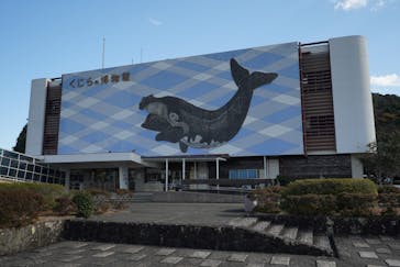 太地町立くじらの博物館に投稿された画像（2025/1/19）
