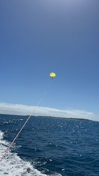 パラセーリング専門店FACEに投稿された画像（2025/1/19）