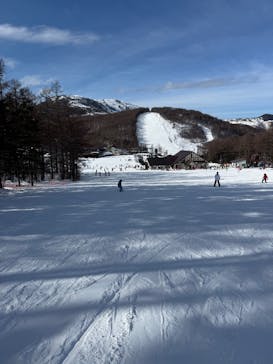 湯の丸スキー場に投稿された画像（2025/1/19）