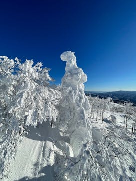 阿仁スキー場に投稿された画像（2025/1/19）