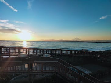 新江ノ島水族館に投稿された画像（2025/1/19）