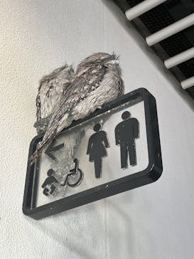 NIFREL（ニフレル）に投稿された画像（2025/1/20）