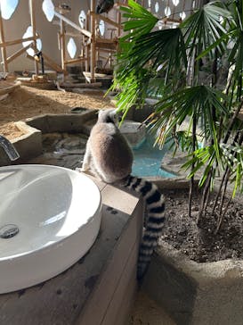 NIFREL（ニフレル）に投稿された画像（2025/1/20）