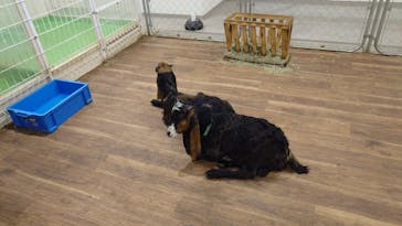 アニタッチ 東京ドームシティに投稿された画像（2025/1/20）