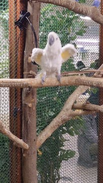 アニタッチ 東京ドームシティに投稿された画像（2025/1/20）