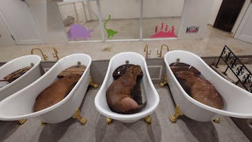 アニタッチ 東京ドームシティに投稿された画像（2025/1/20）