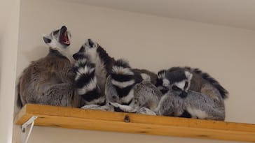 アニタッチ 東京ドームシティに投稿された画像（2025/1/20）