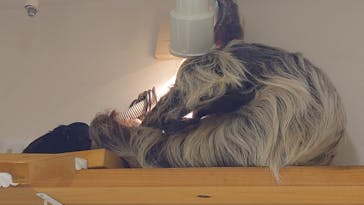 アニタッチ 東京ドームシティに投稿された画像（2025/1/20）