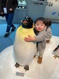 名古屋港水族館に投稿された画像（2025/1/20）