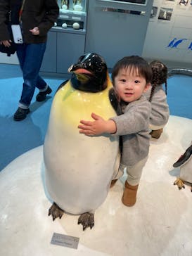 名古屋港水族館に投稿された画像（2025/1/20）