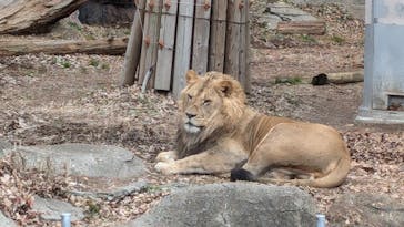 名古屋市東山動植物園に投稿された画像（2025/1/20）