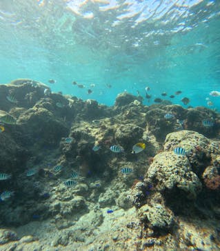 武藤潜水に投稿された画像（2025/1/20）