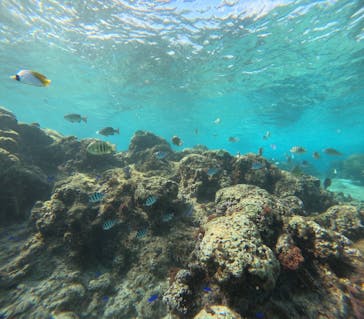 武藤潜水に投稿された画像（2025/1/20）