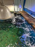 越前松島水族館に投稿された画像（2025/1/20）