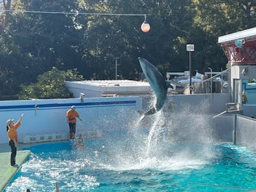 しながわ水族館に投稿された画像（2025/1/20）
