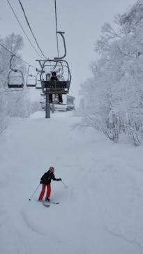 富良野スキー場に投稿された画像（2025/1/20）