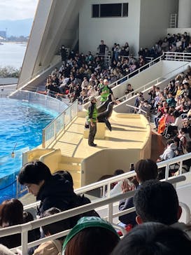 マリンワールド海の中道に投稿された画像（2025/1/20）