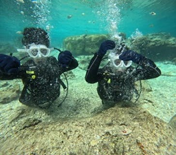 沖縄マリンサービス碧に投稿された画像（2025/1/20）