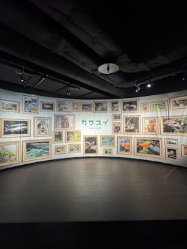 カワスイ 川崎⽔族館に投稿された画像（2025/1/20）