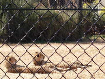 千葉市動物公園に投稿された画像（2025/1/20）