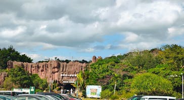 ネオパークオキナワに投稿された画像（2025/1/20）