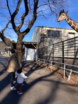 宇都宮動物園に投稿された画像（2025/1/20）