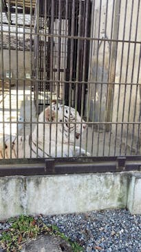 宇都宮動物園に投稿された画像（2025/1/20）
