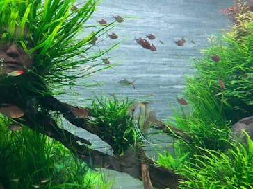 すみだ水族館に投稿された画像（2025/1/20）