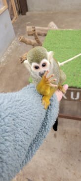 しろとり動物園に投稿された画像（2025/1/20）
