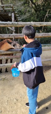 しろとり動物園に投稿された画像（2025/1/20）