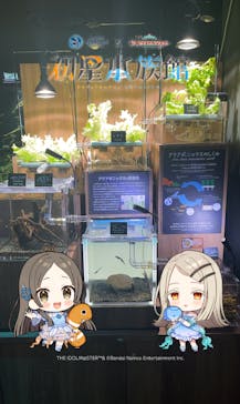サンシャイン水族館に投稿された画像（2025/1/20）