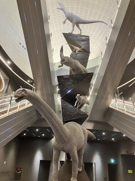 福井県立恐竜博物館に投稿された画像（2025/1/20）