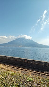 仙巌園に投稿された画像（2025/1/20）