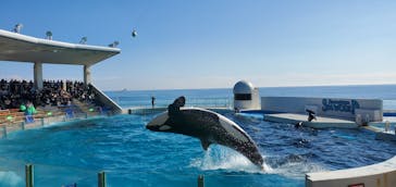 鴨川シーワールドに投稿された画像（2025/1/20）