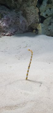 アクアワールド茨城県大洗水族館に投稿された画像（2024/12/21）