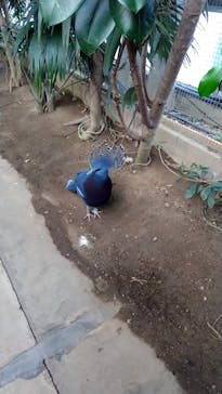 神戸どうぶつ王国に投稿された画像（2025/1/20）