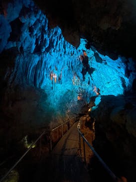 CAVE OKINAWAに投稿された画像（2025/1/20）