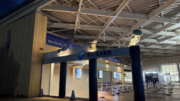 新江ノ島水族館に投稿された画像（2025/1/20）