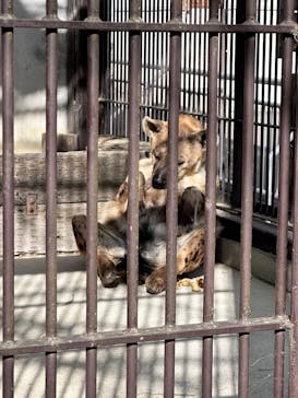 宇都宮動物園に投稿された画像（2025/1/20）