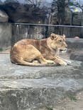 東武動物公園に投稿された画像（2025/1/20）
