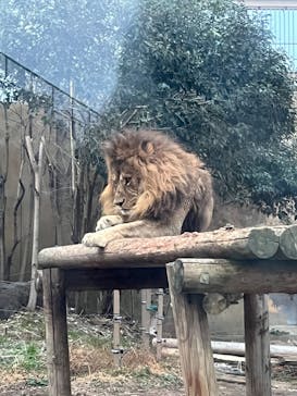 東武動物公園に投稿された画像（2025/1/20）