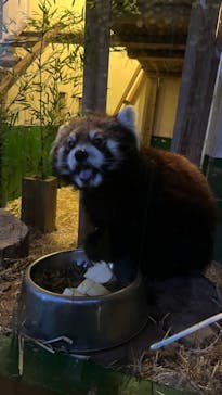 東武動物公園に投稿された画像（2025/1/20）