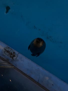 東武動物公園に投稿された画像（2025/1/20）