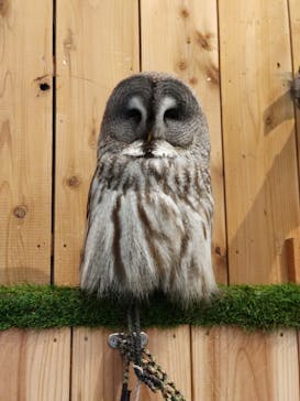 伊豆シャボテン動物公園に投稿された画像（2025/1/20）