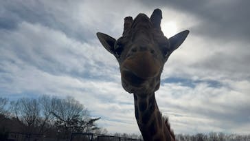 那須サファリパークに投稿された画像（2025/1/20）